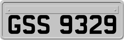 GSS9329