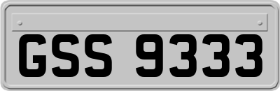 GSS9333