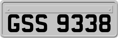 GSS9338