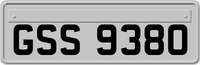 GSS9380