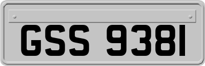 GSS9381