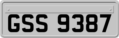 GSS9387