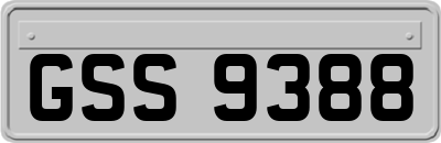 GSS9388