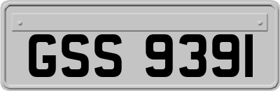 GSS9391