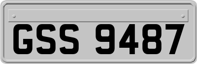 GSS9487