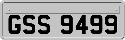 GSS9499