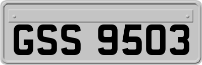 GSS9503