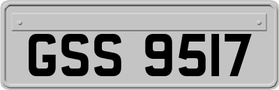 GSS9517