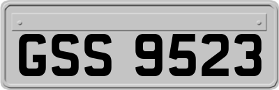 GSS9523