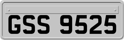 GSS9525