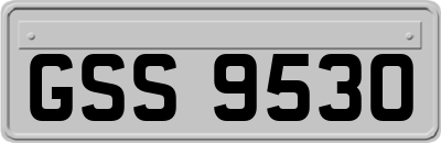 GSS9530