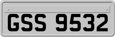 GSS9532