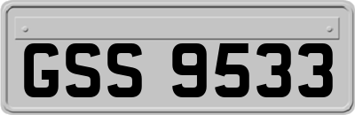 GSS9533