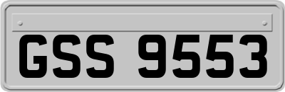 GSS9553