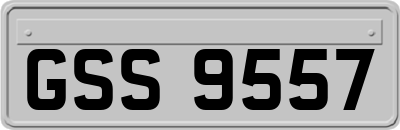 GSS9557