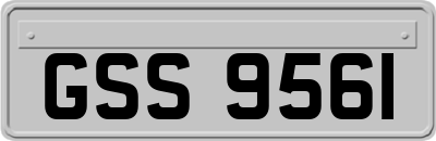 GSS9561