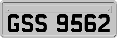 GSS9562