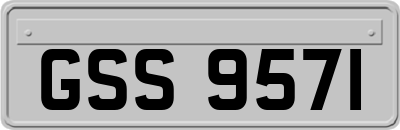 GSS9571