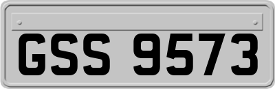 GSS9573