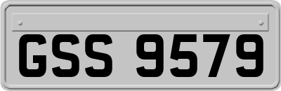 GSS9579