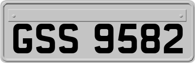 GSS9582