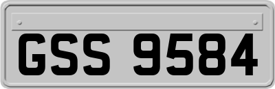GSS9584