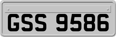 GSS9586