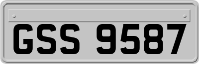 GSS9587