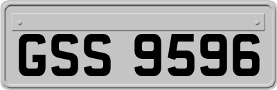 GSS9596