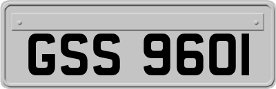 GSS9601