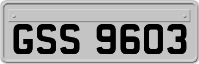GSS9603