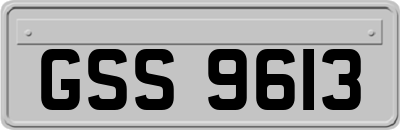 GSS9613