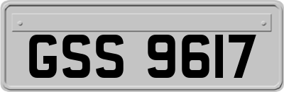 GSS9617