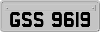 GSS9619