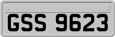 GSS9623