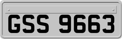 GSS9663