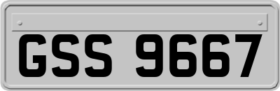 GSS9667