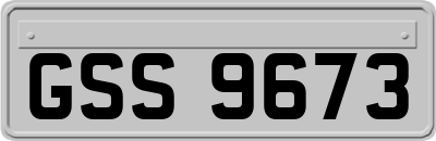 GSS9673