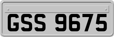 GSS9675