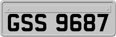 GSS9687