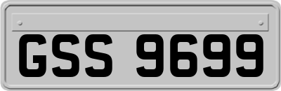 GSS9699