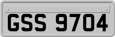 GSS9704