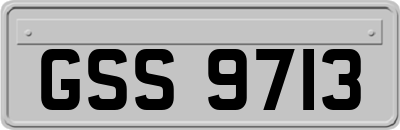 GSS9713