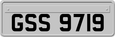 GSS9719