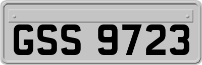 GSS9723