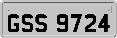 GSS9724