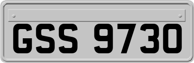 GSS9730