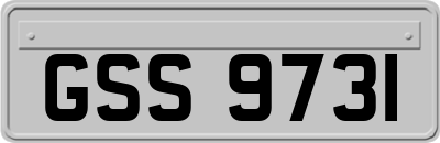 GSS9731