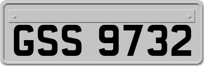 GSS9732