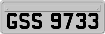 GSS9733